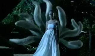 传说中的故乡九尾狐 传说中的故乡九尾狐