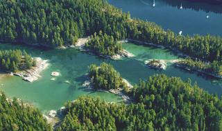 什么春来江水绿如蓝 什么春来江水绿如蓝